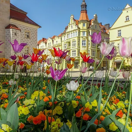 Przy Starowce - Hampton - In Old Town - Main Square, Amazing View, Location! * 博莱斯瓦维茨