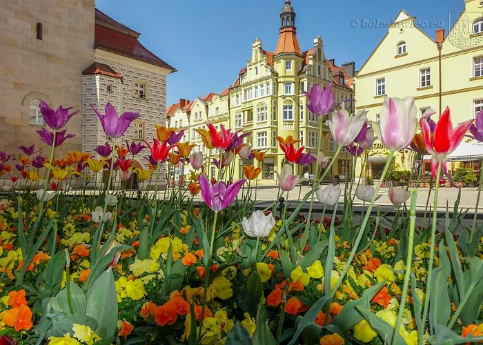 Przy Starowce - Hampton - In Old Town - Main Square, Amazing View, Location! * ブンツラウ